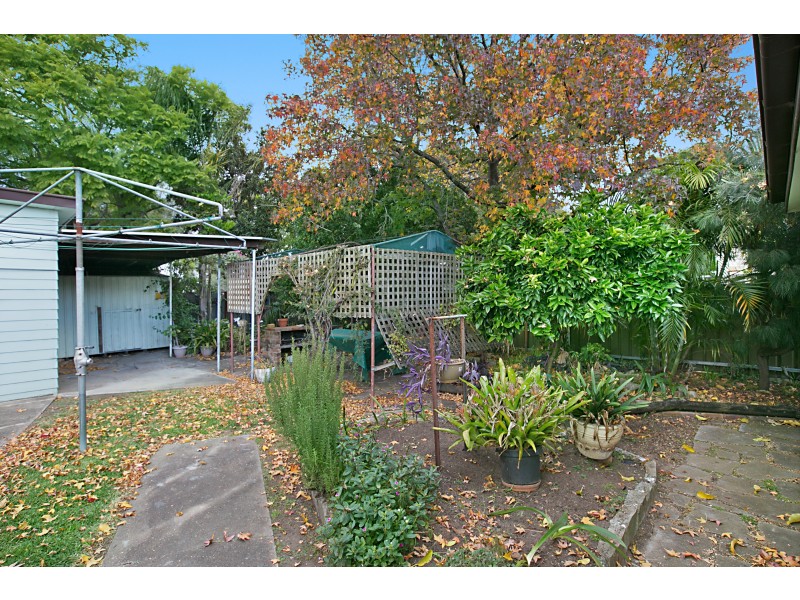 229 New England Highway, Rutherford NSW 2320
