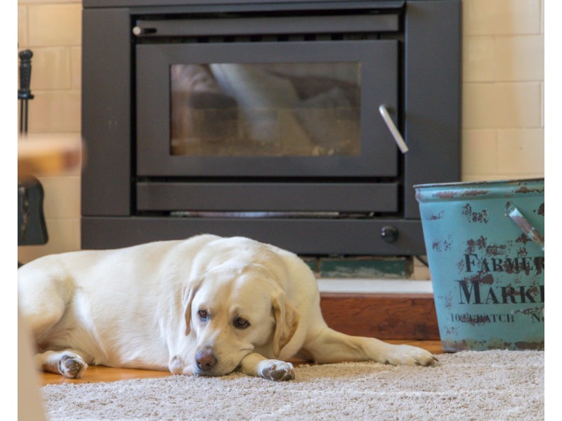 20 Bent Street, Cessnock NSW 2325