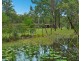 1154 East Seaham Road, Clarence Town NSW 2321