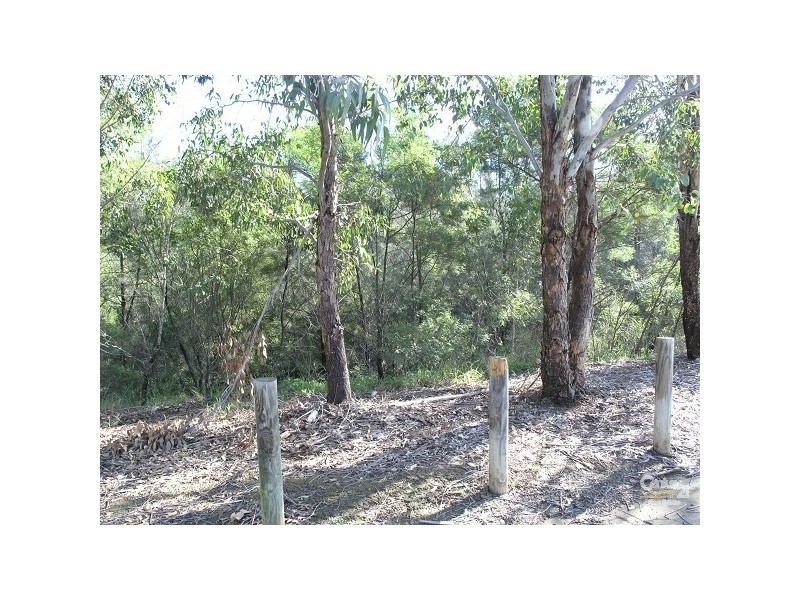 Hinchinbrook NSW 2168