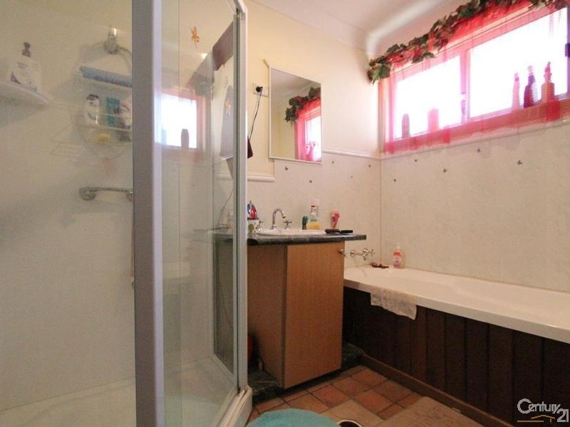 19 Cartwright Avenue, Busby NSW 2168