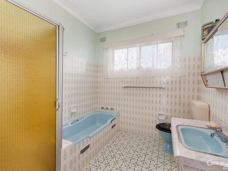 254 John Street, Cabramatta NSW 2166