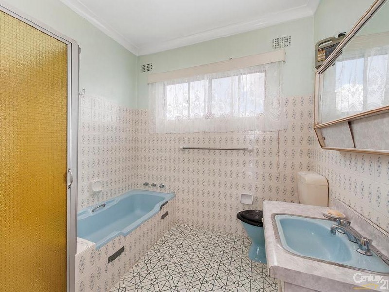 254 John Street, Cabramatta NSW 2166