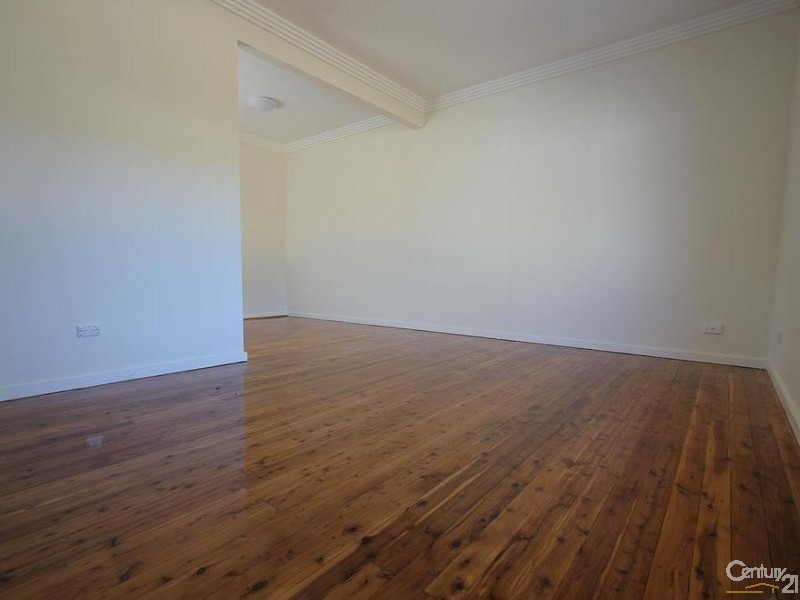 113 OLIPHANT STREET, Mount Pritchard NSW 2170