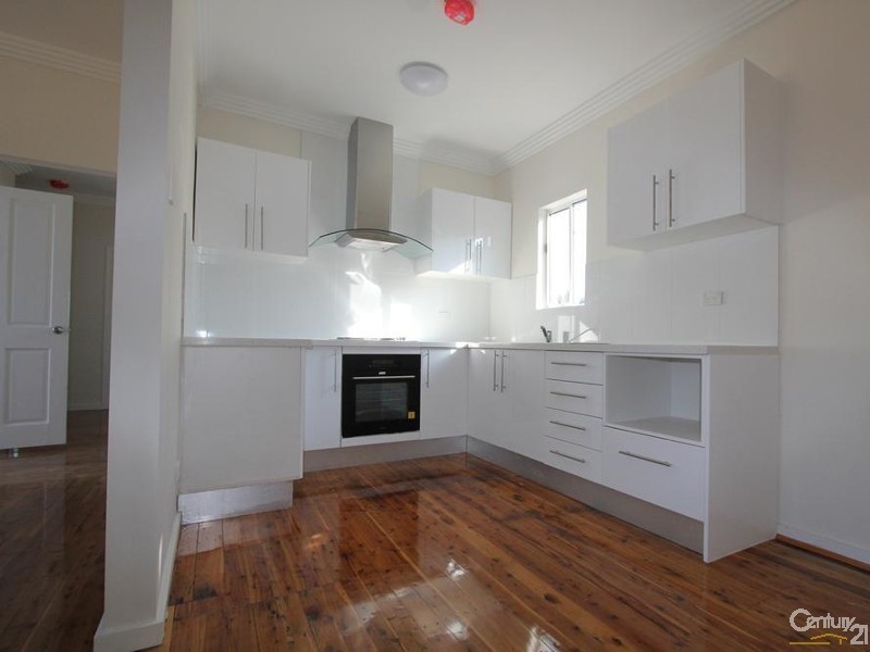 113 OLIPHANT STREET, Mount Pritchard NSW 2170