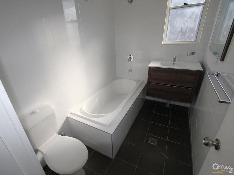 113 OLIPHANT STREET, Mount Pritchard NSW 2170