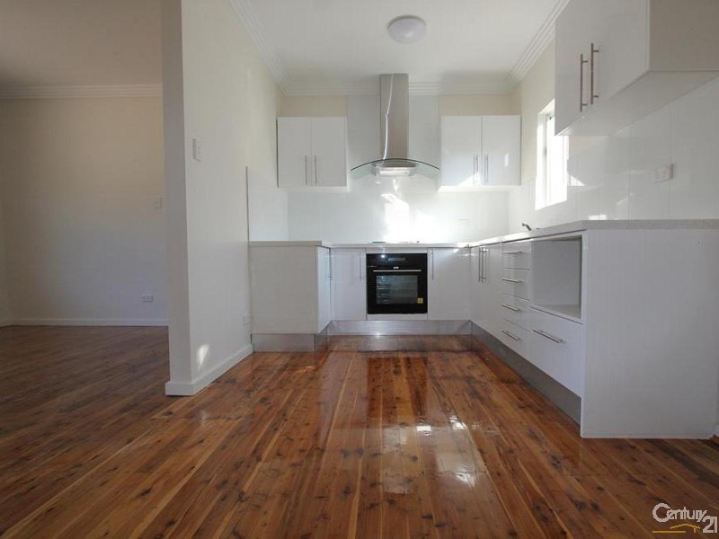 113 OLIPHANT STREET, Mount Pritchard NSW 2170
