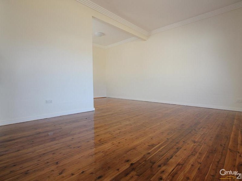 113 OLIPHANT STREET, Mount Pritchard NSW 2170