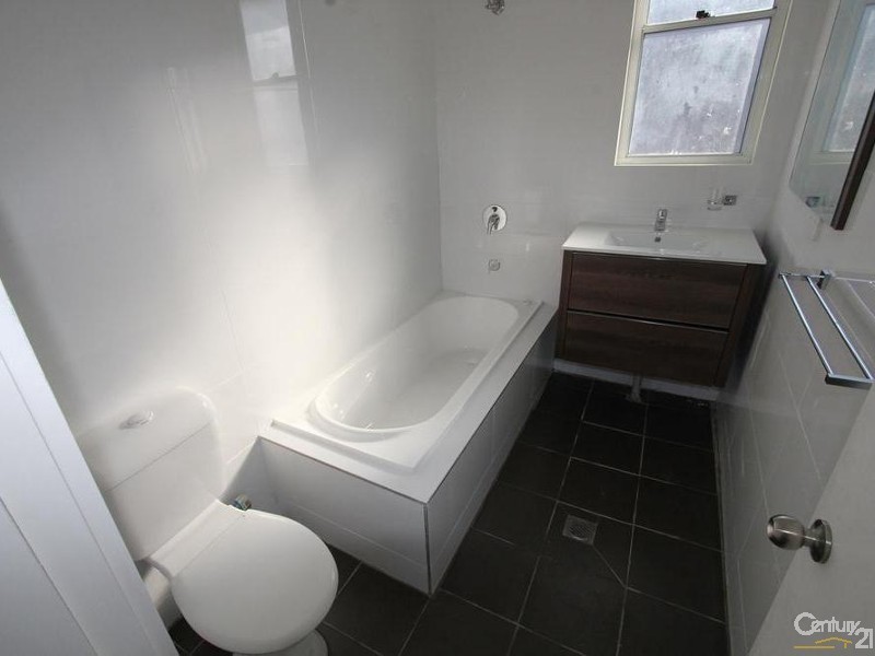 113 OLIPHANT STREET, Mount Pritchard NSW 2170