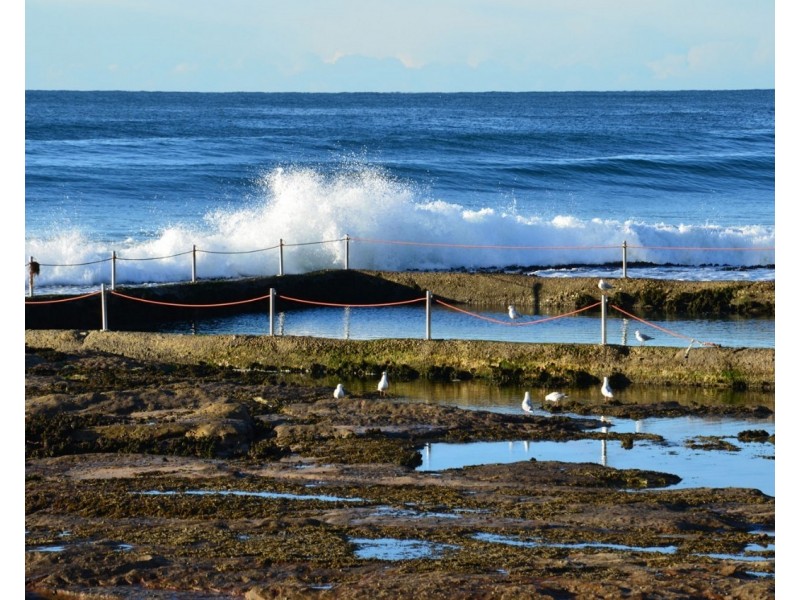 8 Crammond Boulevarde, Caringbah NSW 2229