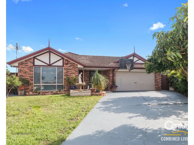 55 Carina Avenue, Hinchinbrook NSW 2168