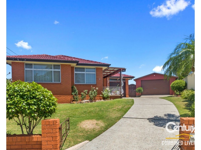 3 Kelly Place, Mount Pritchard NSW 2170