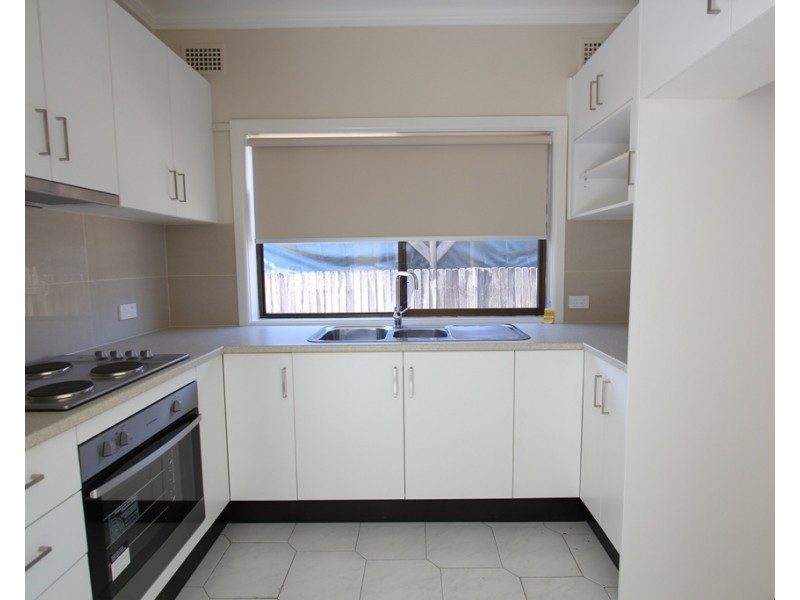 119 Atkinson Street, Liverpool NSW 2170