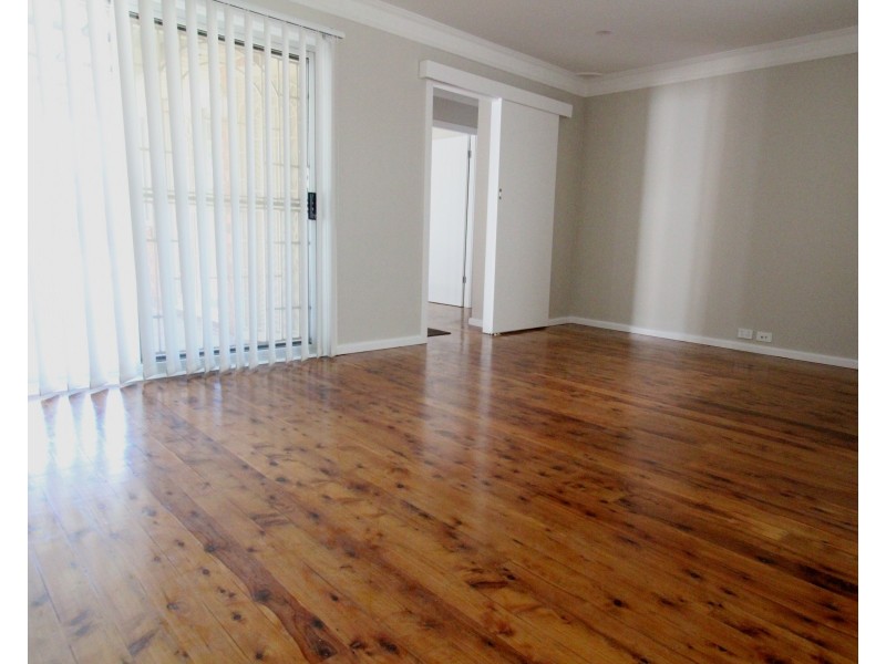 25 Tresalam Street, Mount Pritchard NSW 2170