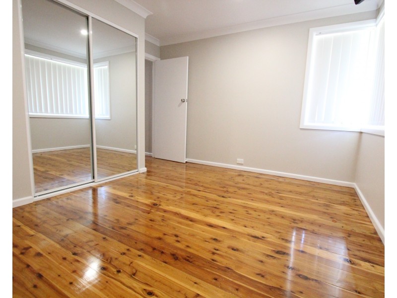 25 Tresalam Street, Mount Pritchard NSW 2170