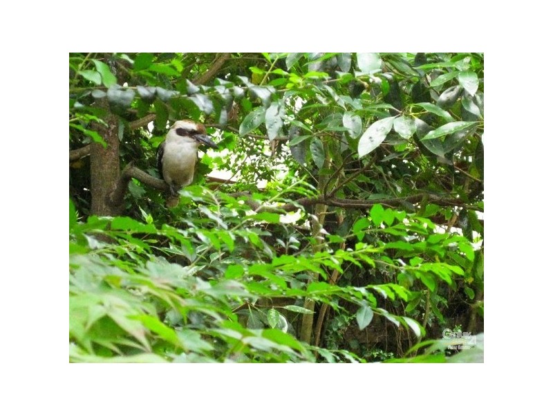 9 The Crescent, Woronora NSW 2232