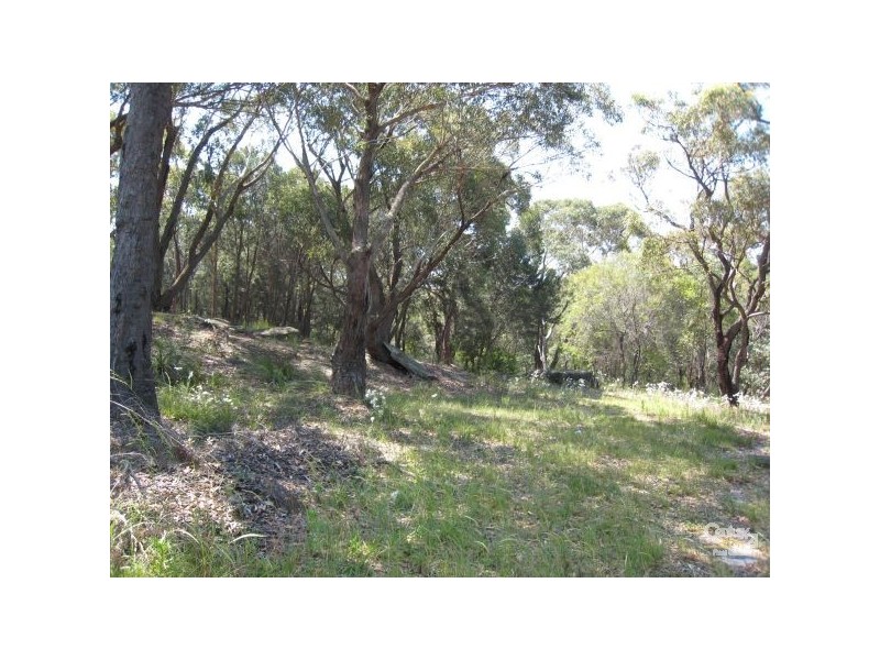 16 Foreman Pl, Barden Ridge NSW 2234