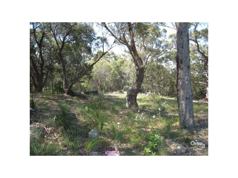 16 Foreman Pl, Barden Ridge NSW 2234