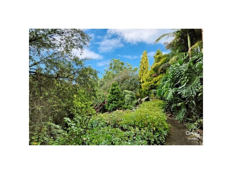 4 Mariner Drive, Illawong NSW 2234