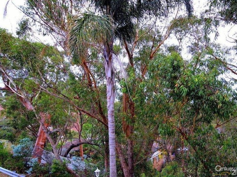 7 Stolle Close, Menai NSW 2234