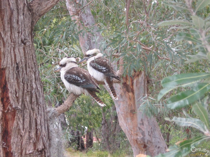 35 Sproule Rd, Illawong NSW 2234