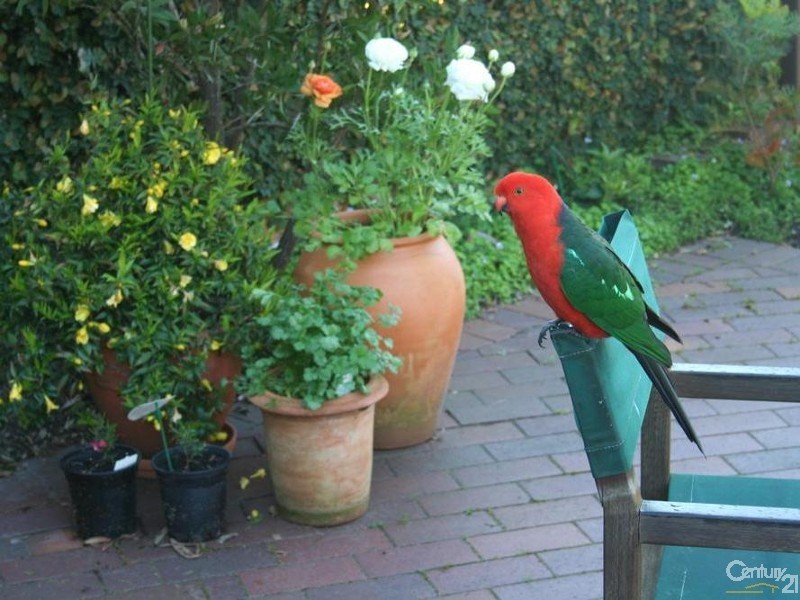 35 Sproule Rd, Illawong NSW 2234