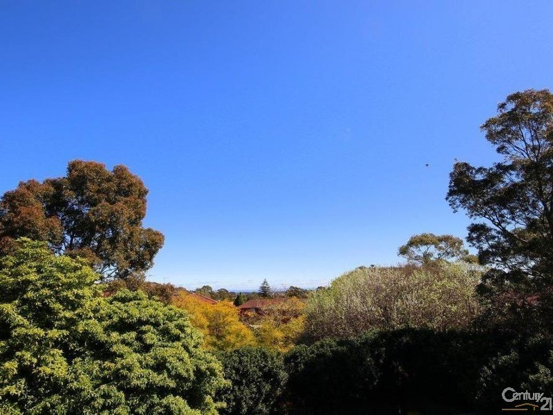 6/17 Parry Avenue, Narwee NSW 2209