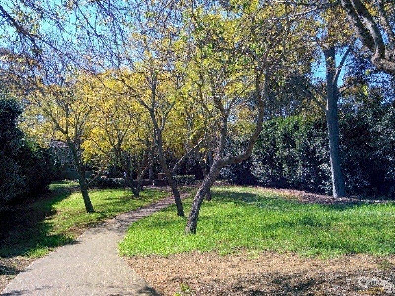 6/17 Parry Avenue, Narwee NSW 2209