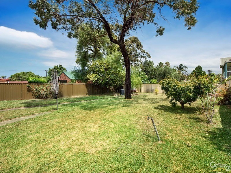 38 Clarence Road, Rockdale NSW 2216