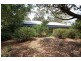 Willow Vale NSW 2575