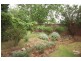 Colo Vale NSW 2575