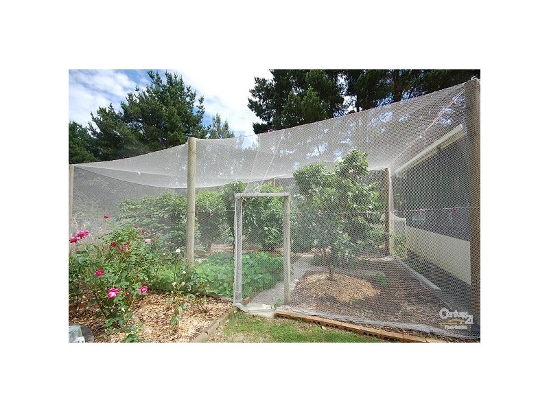 28 Beech Street, Colo Vale NSW 2575