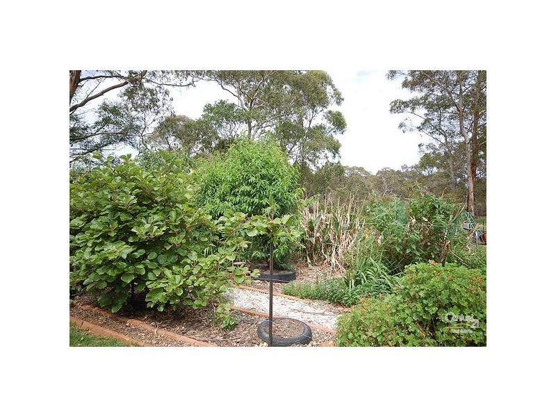 28 Beech Street, Colo Vale NSW 2575