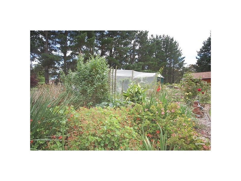 28 Beech Street, Colo Vale NSW 2575