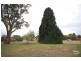 63 Wattle Street, Colo Vale NSW 2575