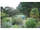 Colo Vale NSW 2575