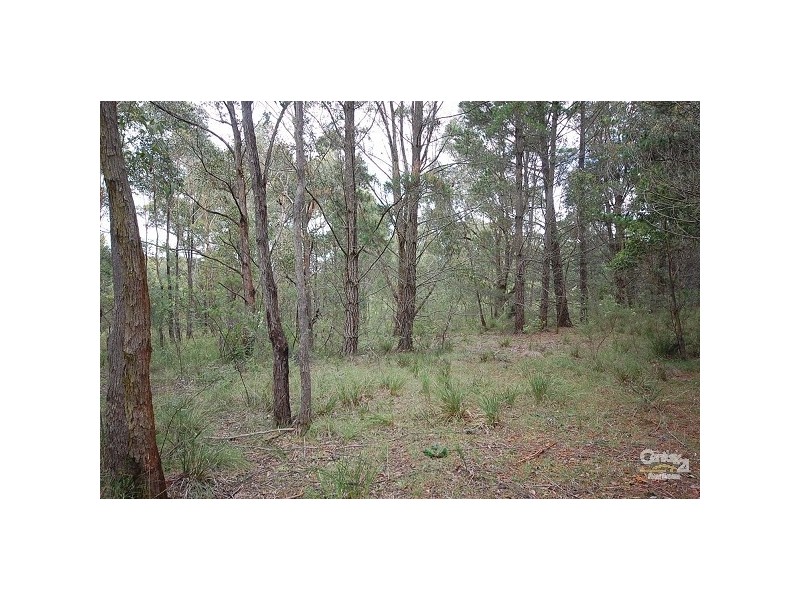 Colo Vale NSW 2575