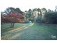Colo Vale NSW 2575