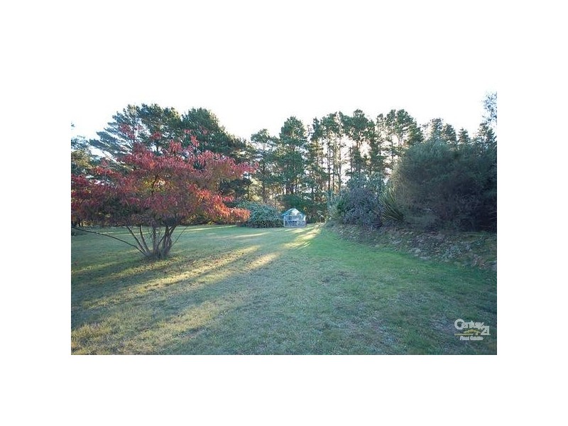 Colo Vale NSW 2575