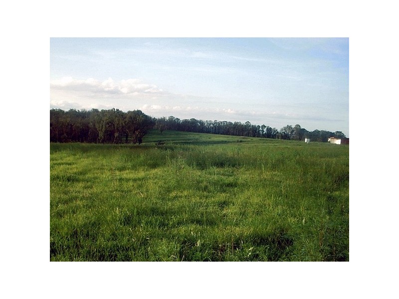 80 ESTONIAN ROAD, Thirlmere NSW 2572