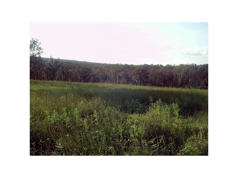 80 ESTONIAN ROAD, Thirlmere NSW 2572