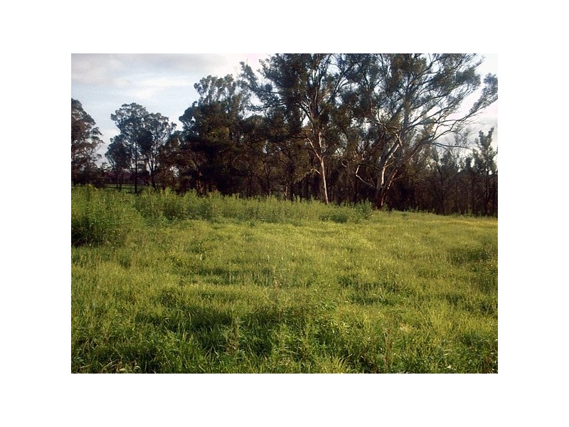 80 ESTONIAN ROAD, Thirlmere NSW 2572