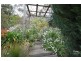 Willow Vale NSW 2575