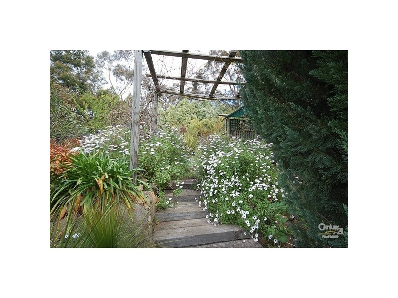 Willow Vale NSW 2575