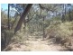Bullio NSW 2575