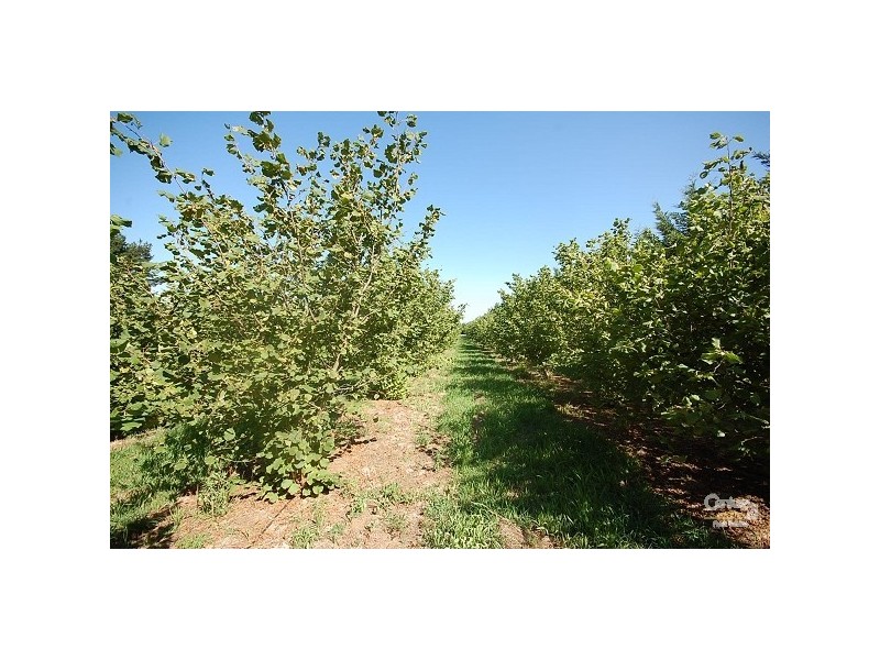 Exeter NSW 2579