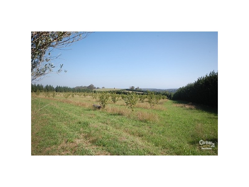 Exeter NSW 2579