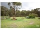 Colo Vale NSW 2575