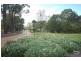 Colo Vale NSW 2575