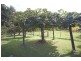 Colo Vale NSW 2575